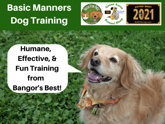 Picture of dog and logos for Basic Manners class