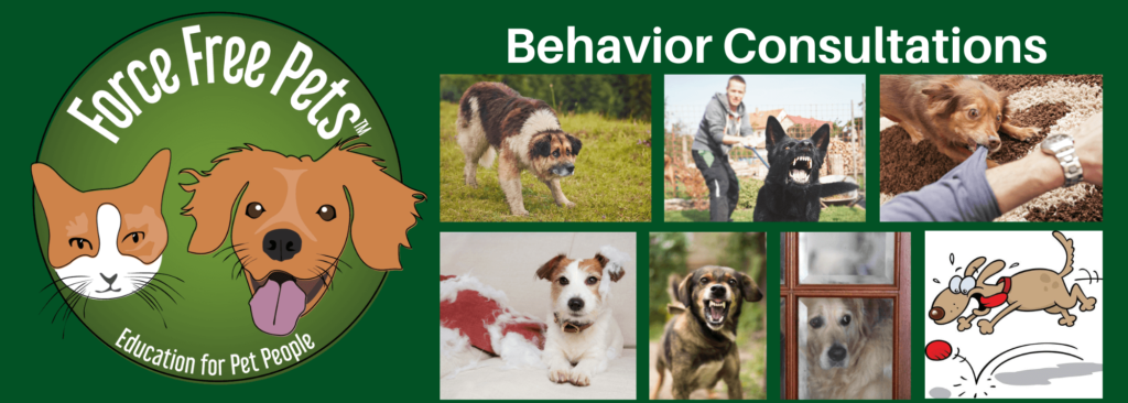 Header image for private behavior consultations.