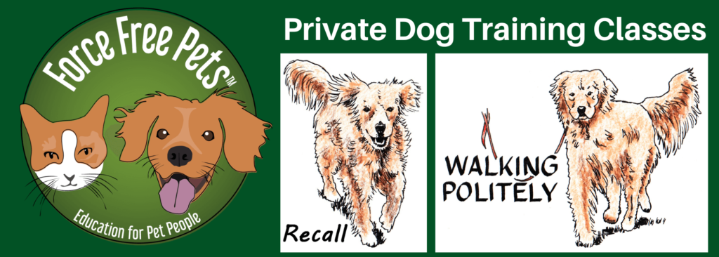 Header image for private dog training.